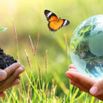 proteger l-environnement